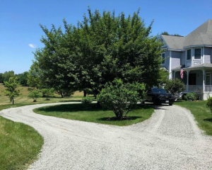 Landscaping & French Drains